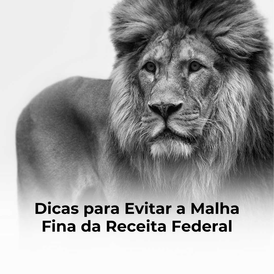 Dicas para Evitar a Malha Fina da Receita Federal