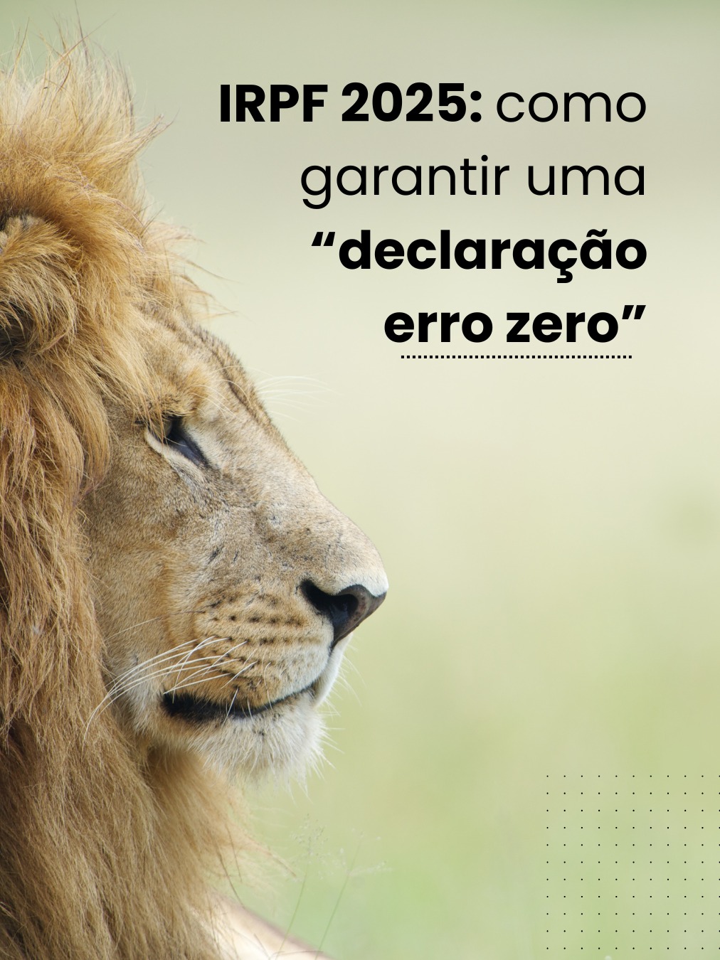 IRPF 2025: Como assegurar uma “declaração erro zero”